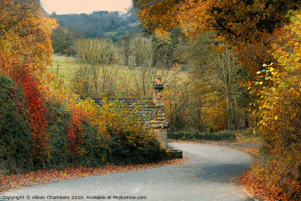 Autumn in Ashover Picture Board by Alison Chambers