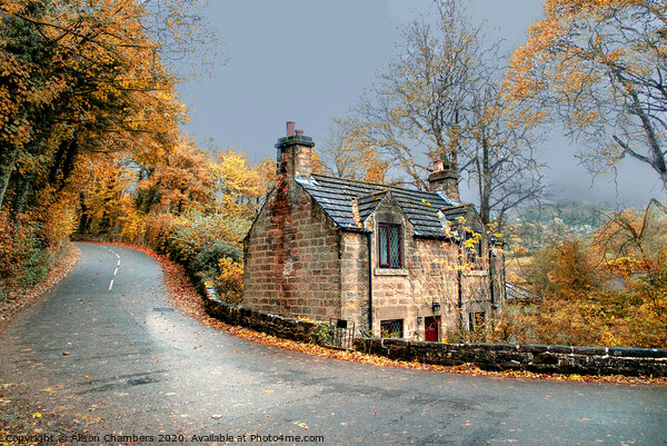 Autumn Day Cottage in Ashover Picture Board by Alison Chambers