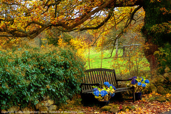 Ashover Autumn Bench Picture Board by Alison Chambers