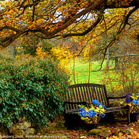 Buy canvas prints of Ashover Autumn Bench by Alison Chambers
