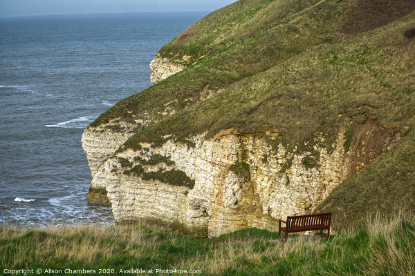 Bempton Cliffs View, North Yorkshire Coast Picture Board by Alison Chambers