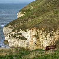 Buy canvas prints of Bempton Cliffs View, North Yorkshire Coast by Alison Chambers