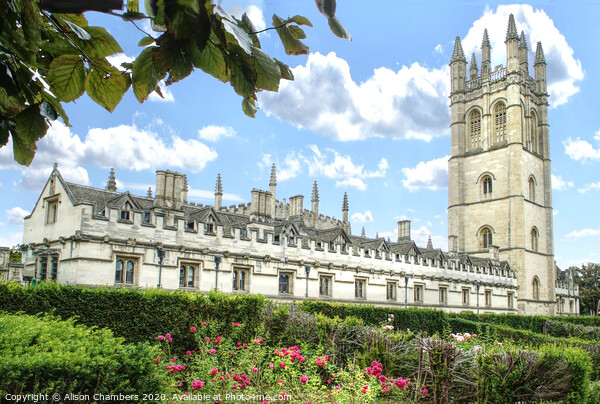 Magdalen College Oxford  Picture Board by Alison Chambers