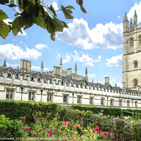 Buy canvas prints of Magdalen College Oxford  by Alison Chambers