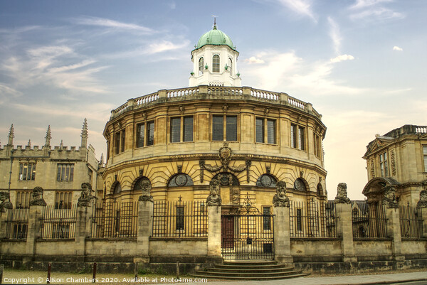 Oxford Sheldonian Theatre  Picture Board by Alison Chambers
