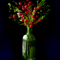 Buy canvas prints of Winterberry Arrangement  by Alison Chambers