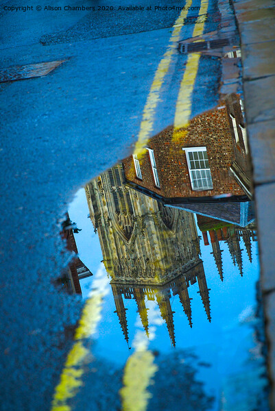 York Minster Reflection  Picture Board by Alison Chambers