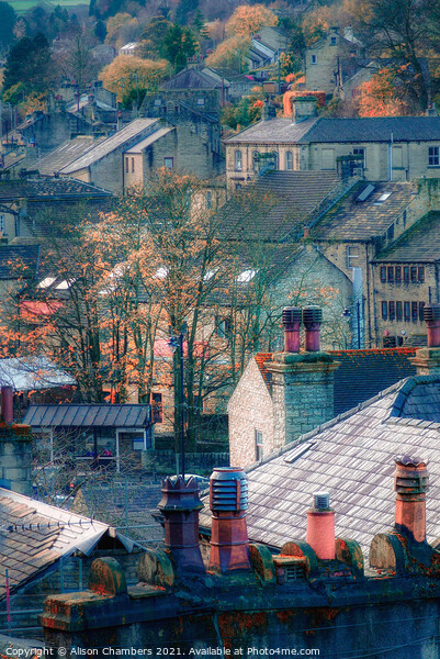 Holmfirth Rooftops and Chimney Pots  Picture Board by Alison Chambers