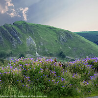 Buy canvas prints of Chrome Hill by Alison Chambers