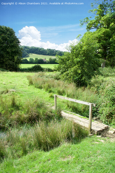 Cotswold Way Picture Board by Alison Chambers