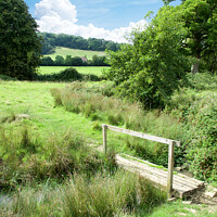 Buy canvas prints of Cotswold Way by Alison Chambers