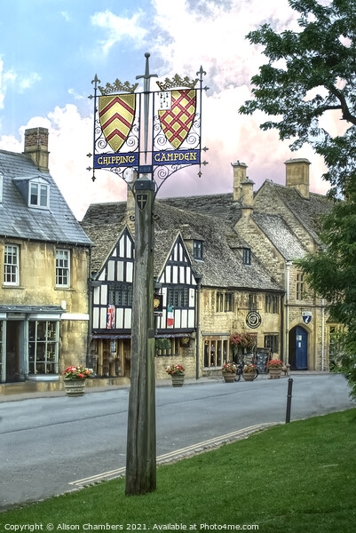 Chipping Campden Portrait  Picture Board by Alison Chambers
