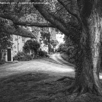 Buy canvas prints of Broad Campden Village Green by Alison Chambers