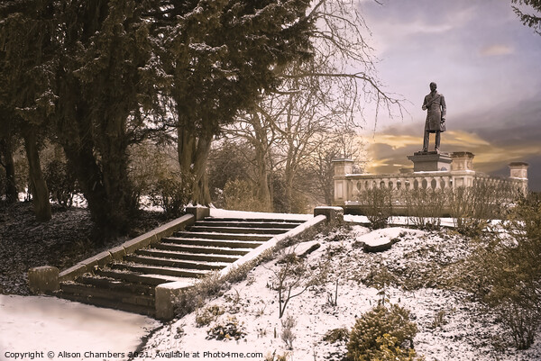 Snow Covered Locke Park Picture Board by Alison Chambers