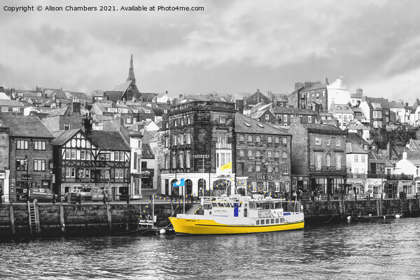 Whitby Harbour Yellow boat, North Yorkshire Coast  Picture Board by Alison Chambers
