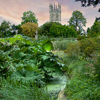 Buy canvas prints of Oxford Magdalen College by Alison Chambers