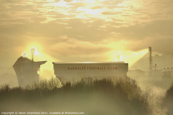 Oakwell Stadium Barnsley FC Picture Board by Alison Chambers