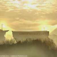 Buy canvas prints of Oakwell Stadium Barnsley FC by Alison Chambers