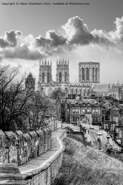 York Minster Black and White  Picture Board by Alison Chambers
