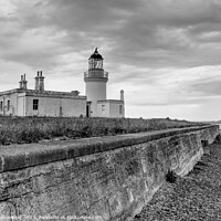 Buy canvas prints of Chanonry Point Lighthouse Mono by Ian Homewood