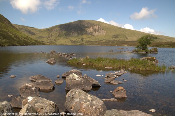 Loch Skeen Tranquility Picture Board by Ian Homewood