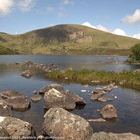 Buy canvas prints of Loch Skeen Tranquility by Ian Homewood