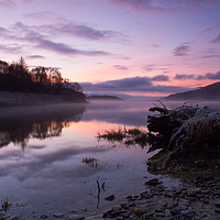 Buy canvas prints of Loch Lomond Dawn by Ian Homewood