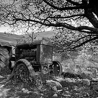 Buy canvas prints of Forgotten Fordson, Kentmere by Ian Homewood
