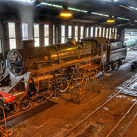 Buy canvas prints of 75029 - The Green Knight by Ian Homewood