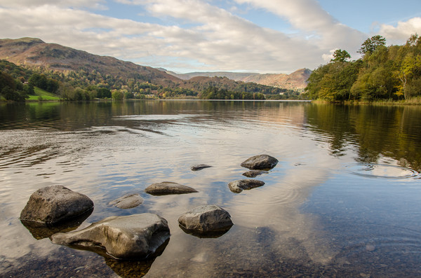 Rydal Water and Loughrigg Terrace Picture Board by Ian Homewood