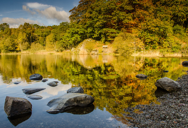 Rydal Shore, Cumbria Picture Board by Ian Homewood