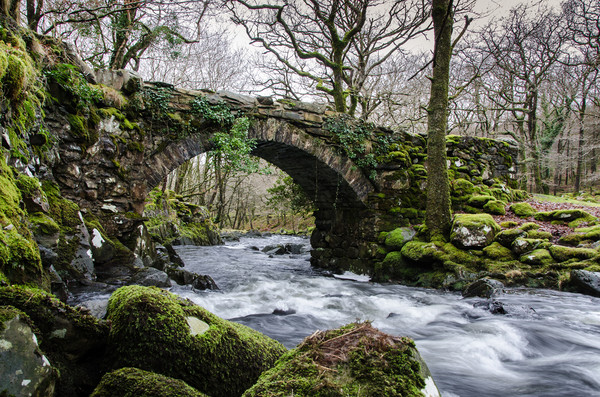 Pont Cae-newydd - Llyn Cwm Bychan Picture Board by Ian Homewood