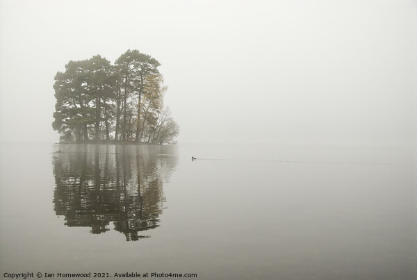 Early Morning Peace At Loch Tay, Scotland Picture Board by Ian Homewood