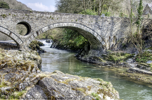 Cenarth Falls and Bridge, Pembrokeshire, Wales Picture Board by Ian Homewood