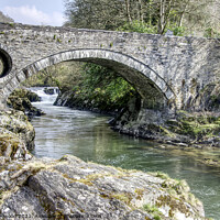 Buy canvas prints of Cenarth Falls and Bridge, Pembrokeshire, Wales by Ian Homewood