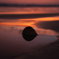 Buy canvas prints of Sunset Shell at Cefn Sidan Beach Pembrey by Steve Huggett