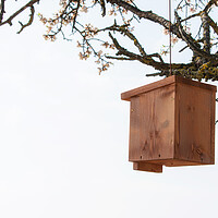 Buy canvas prints of nice wooden birdhouse hanging from a tree by David Galindo