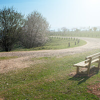 Buy canvas prints of empty wooden bench in spring park with a path by David Galindo