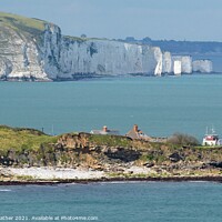 Buy canvas prints of Chalk cliffs near Durlston, Dorset, UK by David Mather