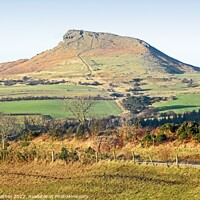 Buy canvas prints of Roseberry Topping by David Mather