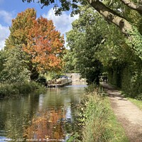 Buy canvas prints of Autumn comes to the Ripon Canal by David Mather