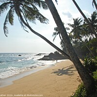 Buy canvas prints of Sri Lanka Paradise by David Mather