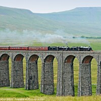 Buy canvas prints of Steam at Ribblehead Viaduct by David Mather