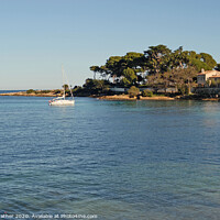 Buy canvas prints of Bay at Cap d'Antibes, South of France by David Mather
