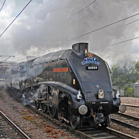 Buy canvas prints of The Coronation Steam Special leaving York by David Mather