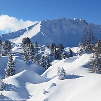 Buy canvas prints of Pristine snow-scape by David Mather