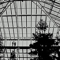 Buy canvas prints of In Kew Gardens by David Mather