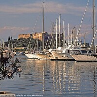 Buy canvas prints of The Port, Antibes. by David Mather