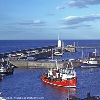 Buy canvas prints of Seahouses harbour by David Mather