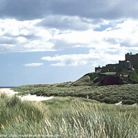 Buy canvas prints of Bamburgh Castle and shoreline by David Mather